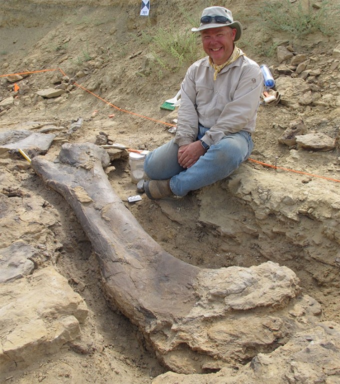 Museum palaeontologists to join new Jurassic dino dig in Wyoming | Natural  History Museum