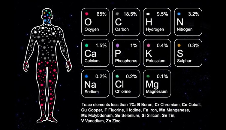 Diagram of elements that make up the human body. Including Oxygen, Carbon, Hydrogen, Nitrogen and Calcium.