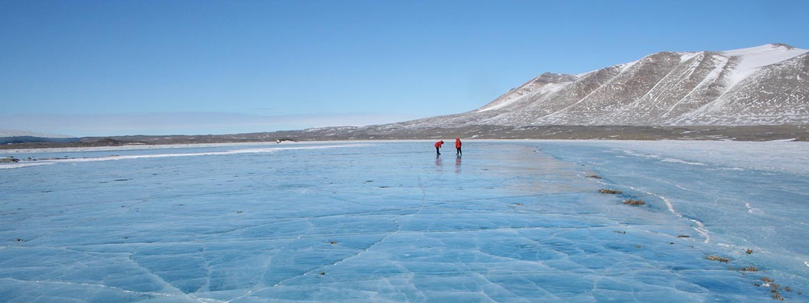 Two researchers in the icy artic