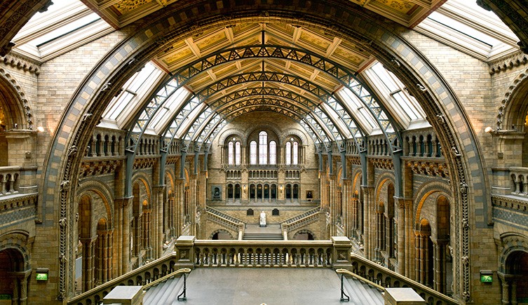 Architecture Of The Natural History Museum Natural History Museum