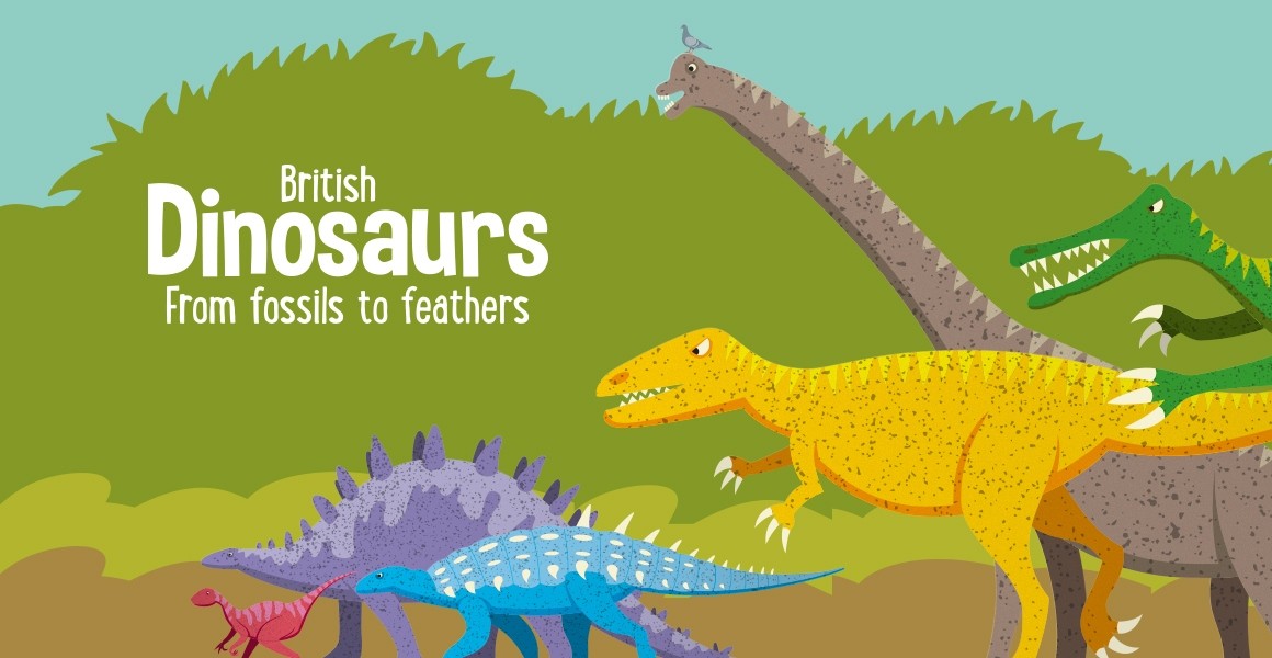 New temporary exhibition British Dinosaurs: from fossils to feathers to  open at Tring | Natural History Museum