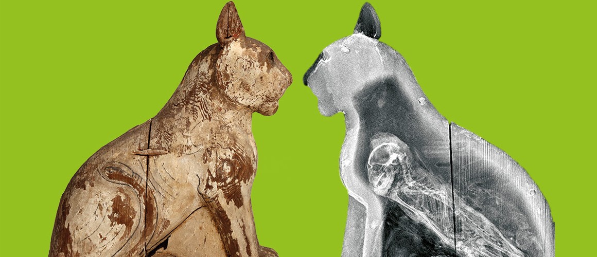 Animal Mummies – Learning at Manchester Museum