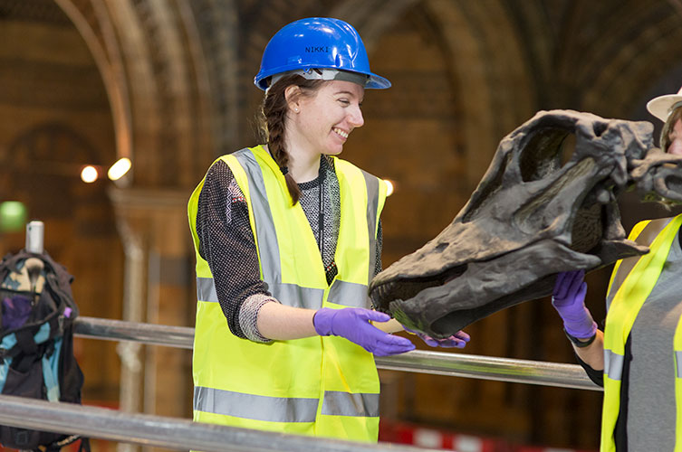 Photo of Museum conservators getting ready to remove Dippy's head