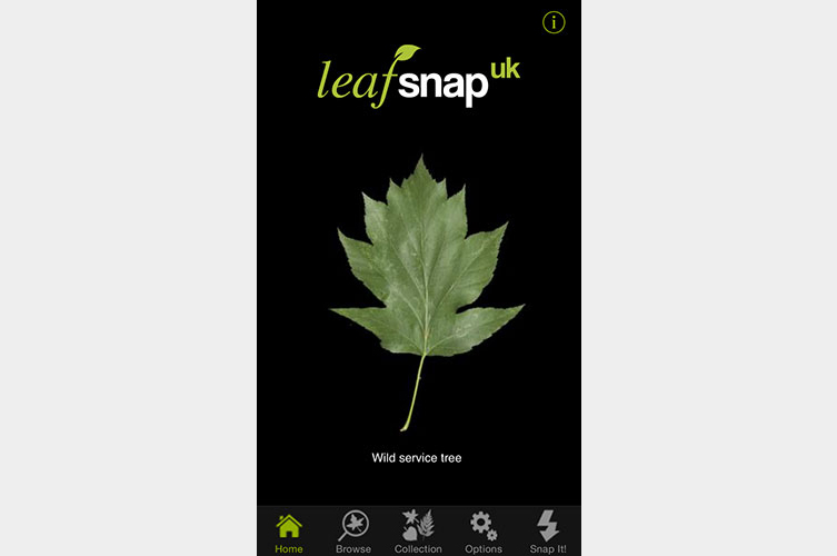 leafsnap app