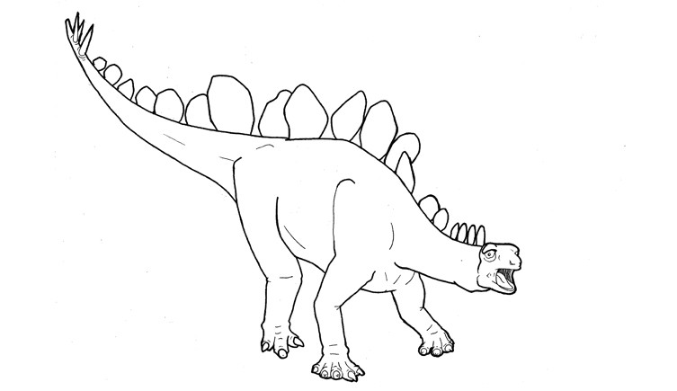 Download Colouring Pages For Kids And Adults Natural History Museum