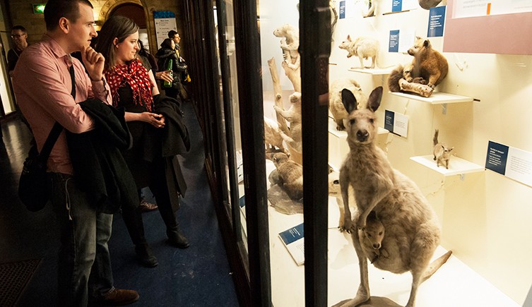 Mammals gallery | Natural History Museum