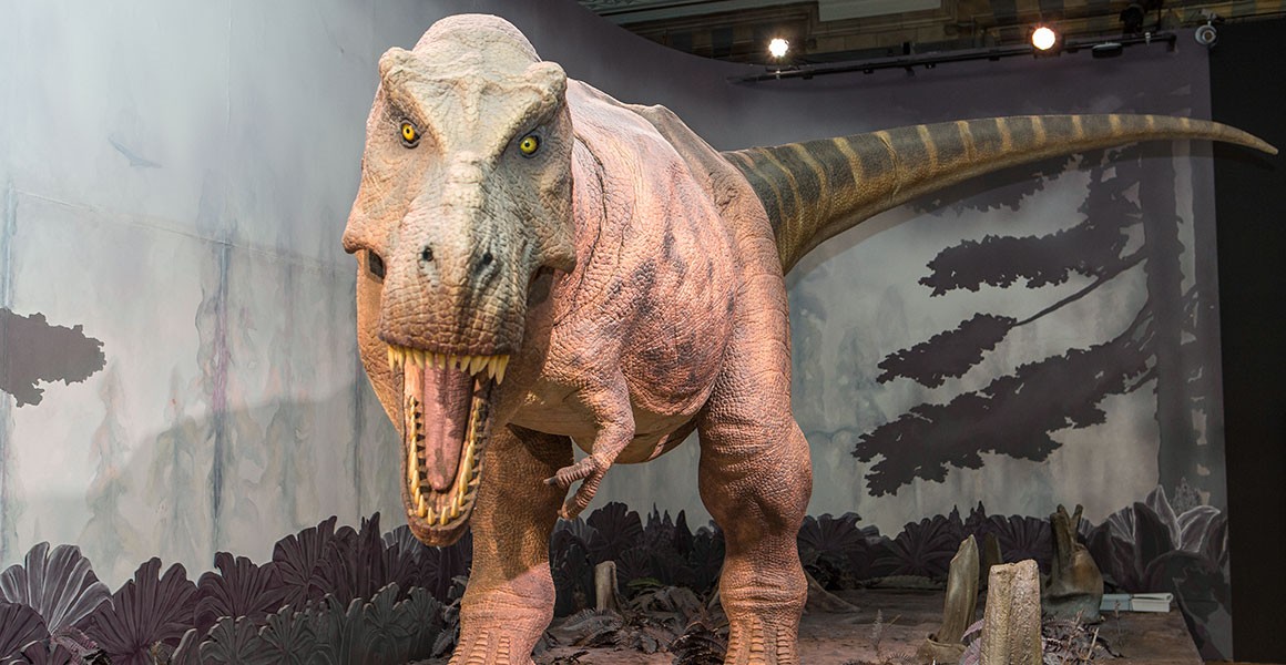 Visit the Dinosaurs gallery | Natural History Museum | Natural History  Museum