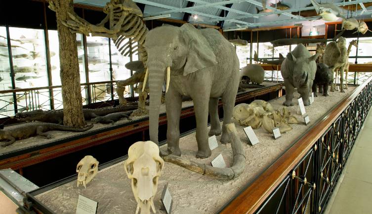 Facilities and access at Tring | Natural History Museum