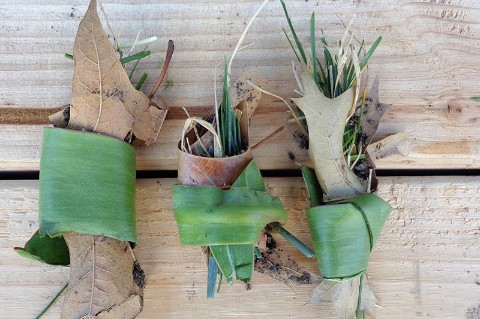 three clumps of leaves and trigs tied together 
