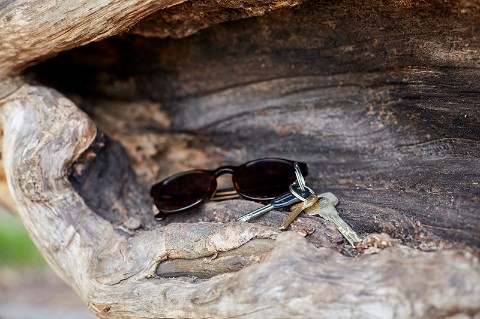 Some sunglasses and keys in a hollow of a log