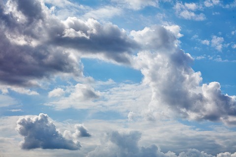 looking up between trees at clouds in the blue sky