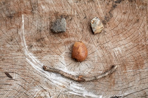 A face made from stones and a stick lying on a tree stump