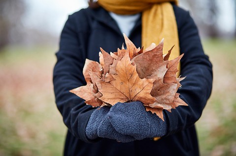 A person in a coat holds some leaves in the shape of a flame