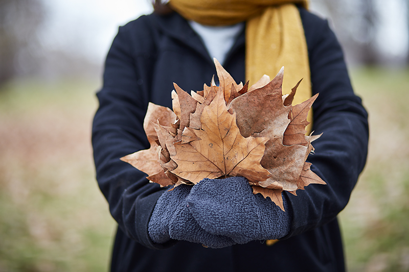 A person in a coat holds some leaves in the shape of a flame
