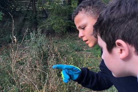 Two children look at point at a small shrub
