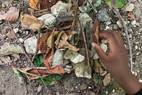 A child's hand arranging bark on a pile of rocks