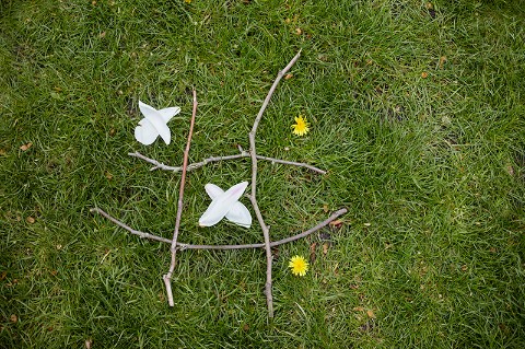 A game of noughts and crosses made from sticks, magnolia flowers and dandelion flowers