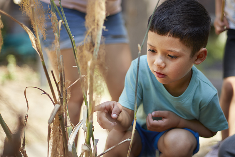 a child crouches down to look at some sticks