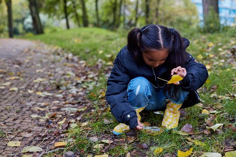 A girl crouches down and looks under a leaf