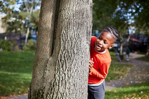 A child wraps their arms around a tree