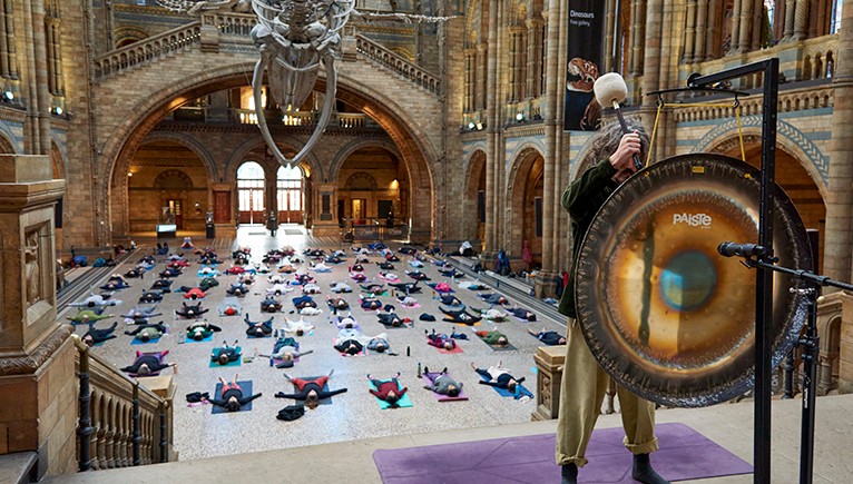 A gong bath taking place in Hintze Hall