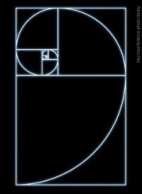 Diagram of a fibonacci circle