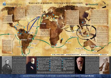 Wallace & Darwin - Voyages to Evolution Map.jpg