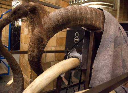 mammoths-tusks-hair-installation-1500.jpg