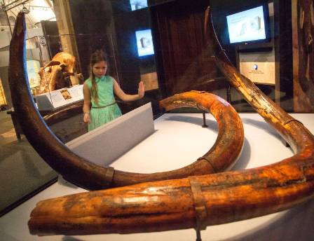 mammoths-tusks-1500.jpg