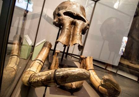 mammoth-skull-tusks-1500.jpg