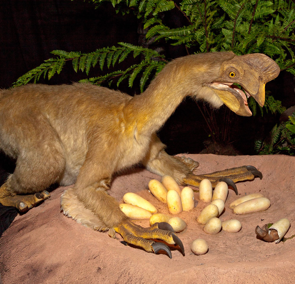 Dino Meal -- The Steal the Eggs Before the Dinosaur Lunges Game