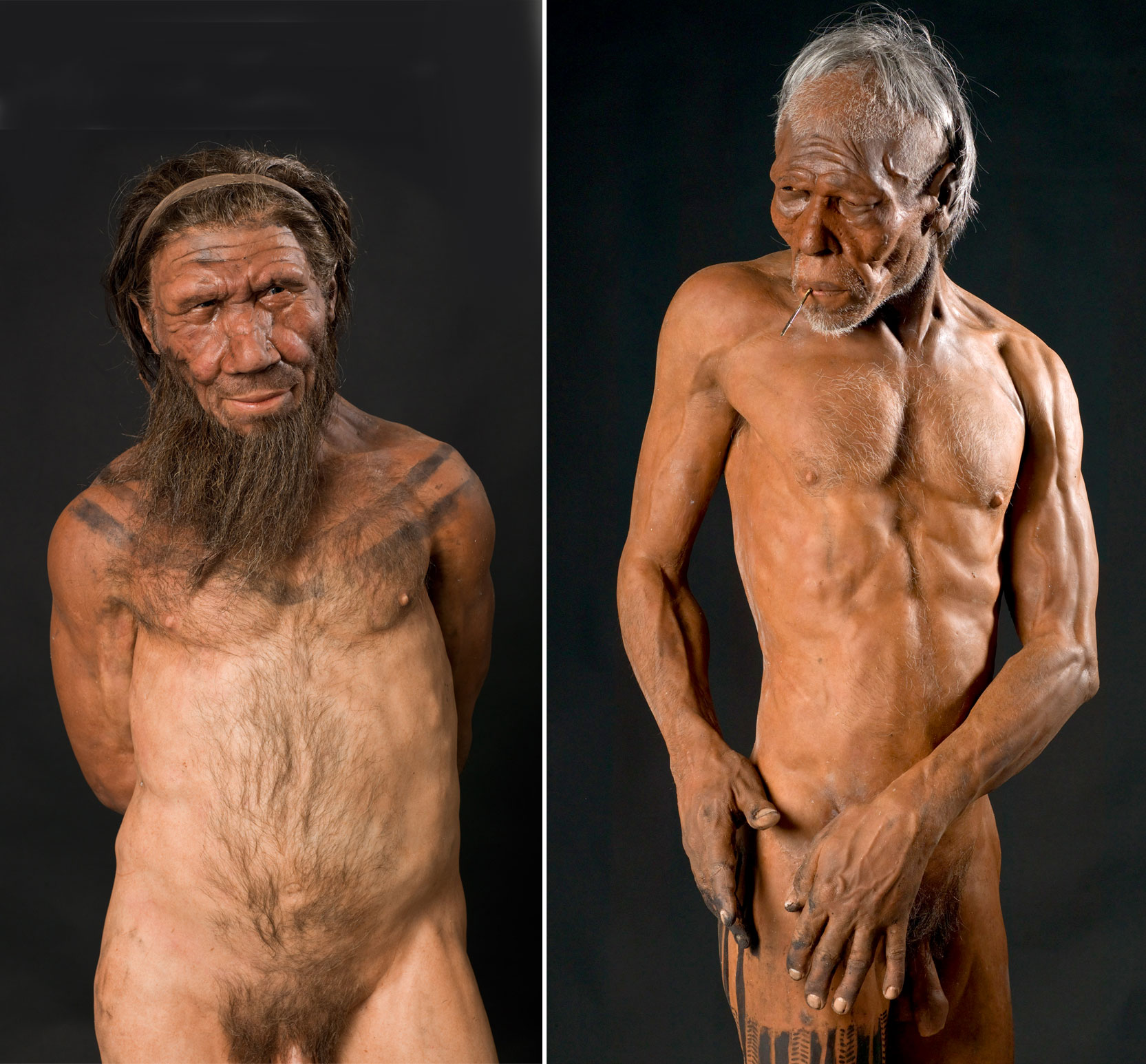 Neanderthal nude