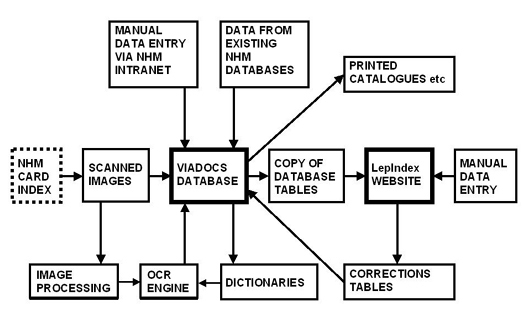 The overall structure of the system developed during the Viadocs project to computerise the NHM's Lepidoptera card archive 