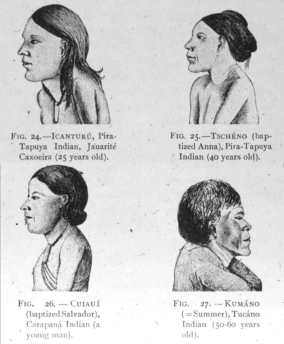 Richard Spruce's drawing of native Amazon people