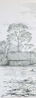 Extract from a Spruce drawing