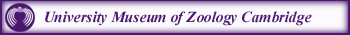 University Museum of Zoology Cambridge logo