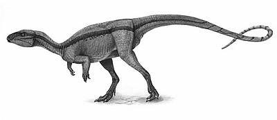 An artist's impression of Agilisaurus