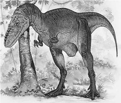 An artist's impression of Alioramus