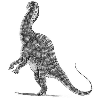 An artist's impression of Amargasaurus