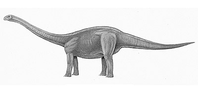 An artist's impression of Amygdalodon