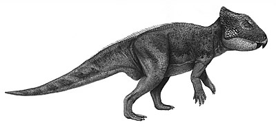 An artist's impression of Archaeoceratops