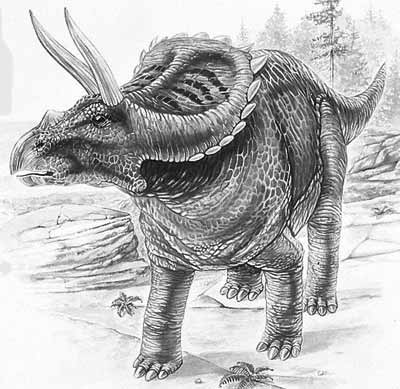 An artist's impression of Arrhinoceratops