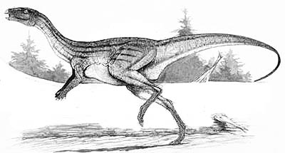 An artist's impression of Atlascopcosaurus