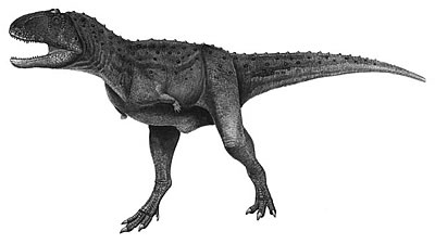 An artist's impression of Aucasaurus