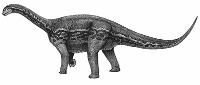 An artist's impression of Bellusaurus