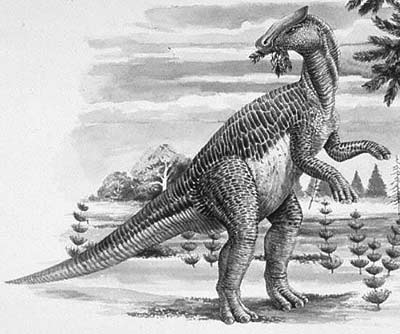 An artist's impression of Brachylophosaurus