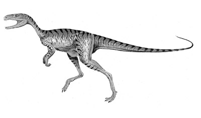 An artist's impression of Chindesaurus
