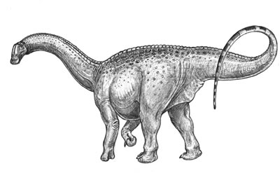 An artist's impression of Chubutisaurus