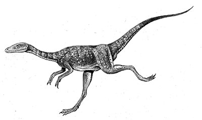 An artist's impression of Compsognathus