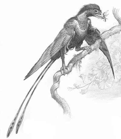 An artist's impression of Confuciusornis